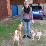 Welpentraining mit Gisi