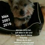 Max lebt immer in unserem Herzen