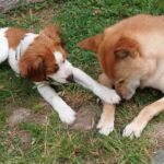 Du hast da was - Techi & Bea